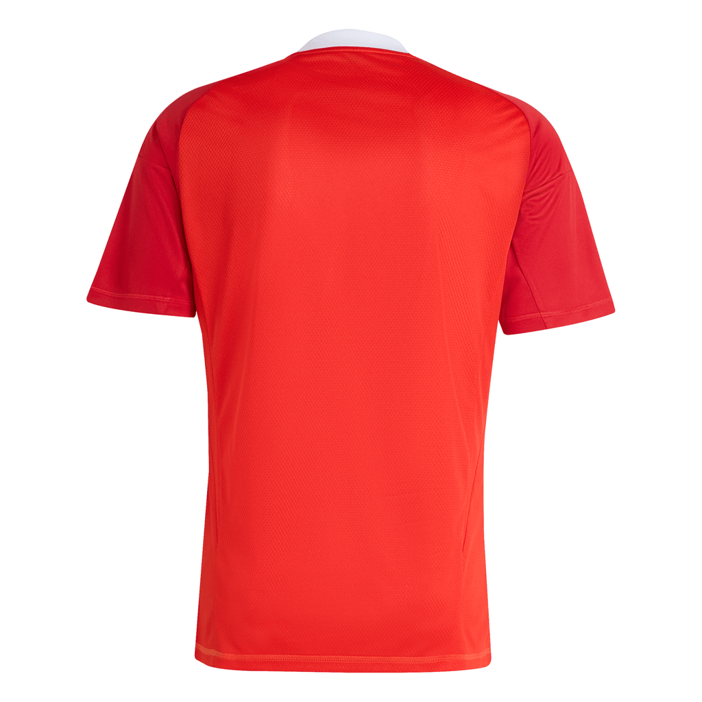 Manto Flamengo Goleiro 3 Adidas 2025