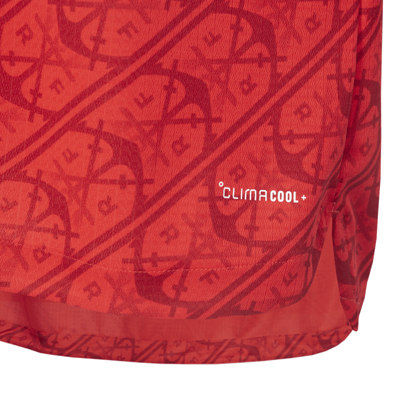 Manto Flamengo Authentic Jogo 3 Adidas 2026