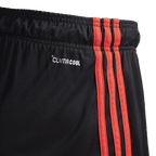 Short Flamengo Jogo 3 Adidas 2026