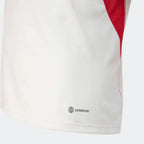 Camisa 2023/24 Treino