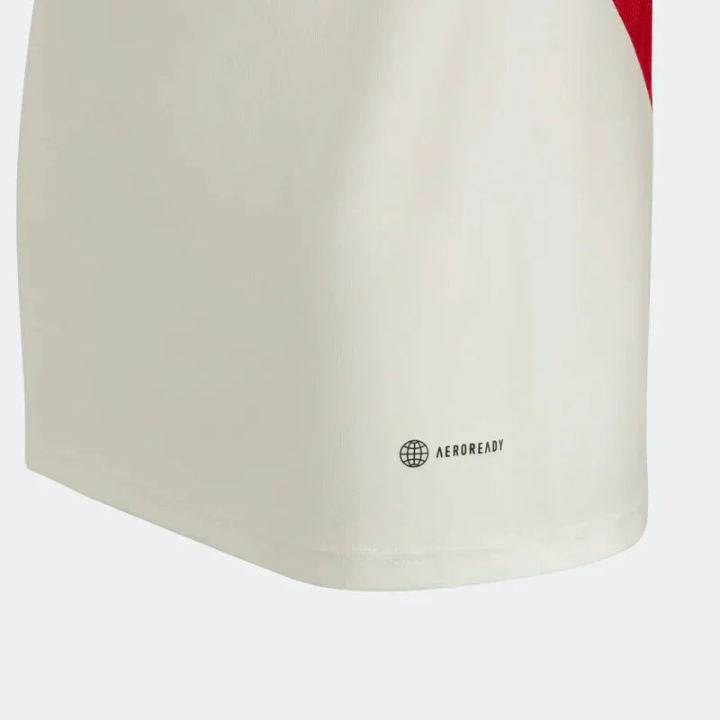 Camisa 2023/24 Treino