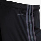 Shorts 2023/24 III